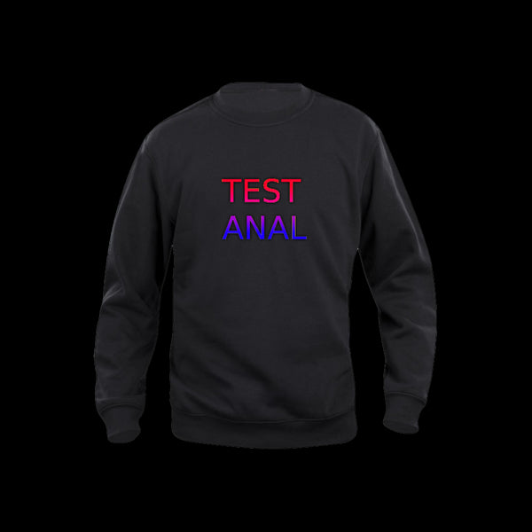 Unisex Budget Sweatshirt | B&C TEST ANAL